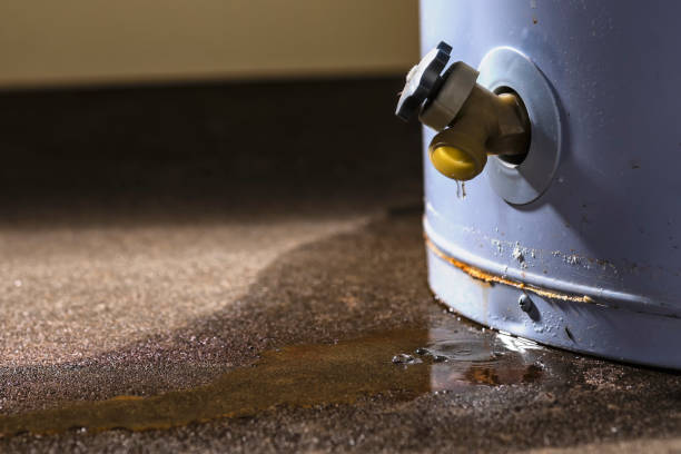 Best 24/7 water damage repair  in Bonanza, GA