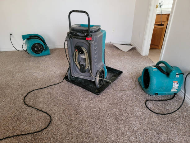 Best Water damage restoration company  in Bonanza, GA