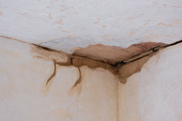 Best Water damage contractors near me  in Bonanza, GA
