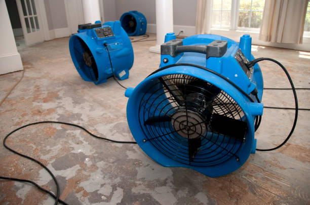 Bonanza, GA Water damage restoration Company