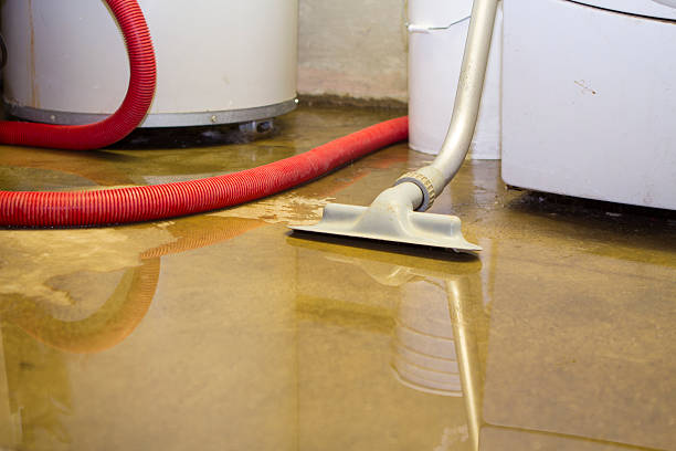 Best Water damage restoration near me  in Bonanza, GA