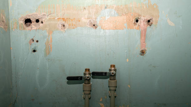 Best 24-hour water damage restoration  in Bonanza, GA
