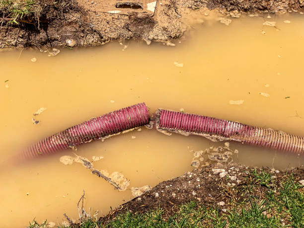 Best Flood damage cleanup  in Bonanza, GA
