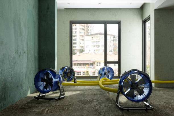 Best Residential water damage restoration  in Bonanza, GA